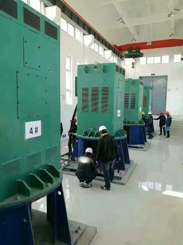 Y4002-4某污水处理厂使用我厂的立式高压电机安装现场