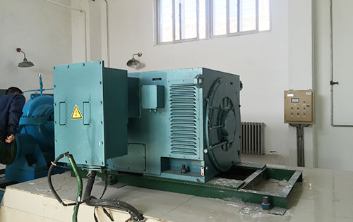 Y4002-4某水电站工程主水泵使用我公司高压电机