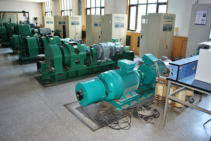 Y4002-4某热电厂使用我厂的YKK高压电机提供动力