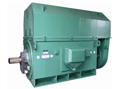 Y4002-4Y系列6KV高压电机